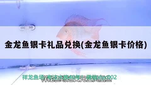 郴州市北湖區(qū)吉祥寵物店