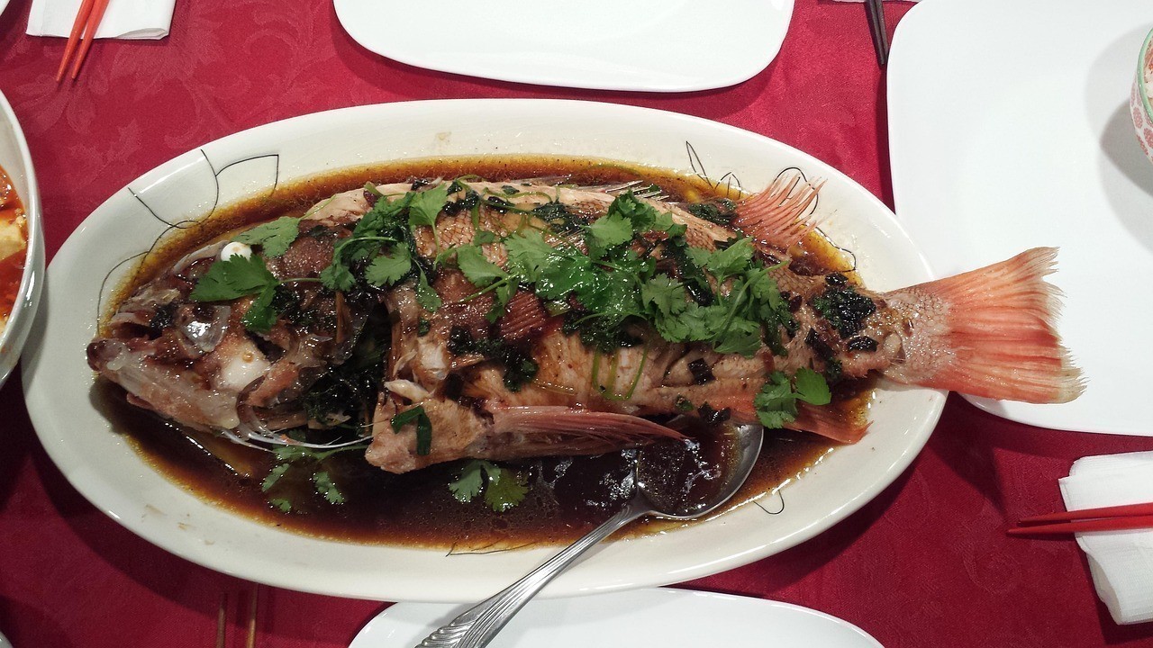 龍魚怎么養才不會掉眼，龍魚怎么養才不掉眼，祥龍魚怎么養才不會掉眼，龍魚怎么養才不會掉眼，龍魚怎么養才不掉眼