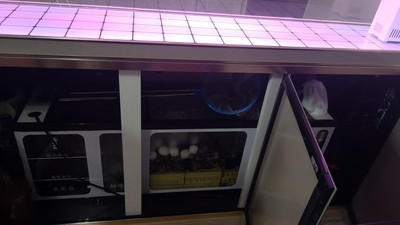 濟南市天橋區生華花卉經營部（濟南鮮花批發商電話）
