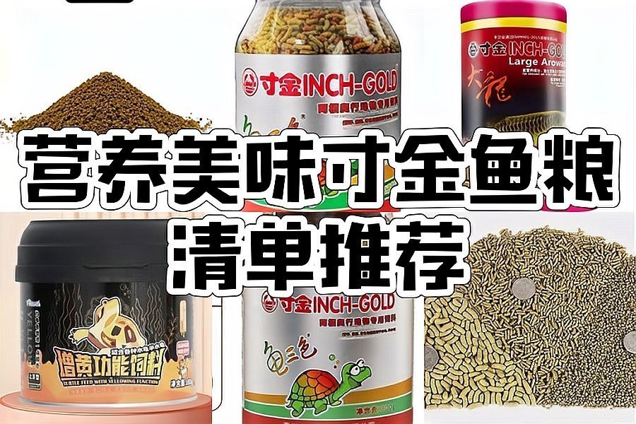 龍魚的飼料可以喂紅面蛋龜