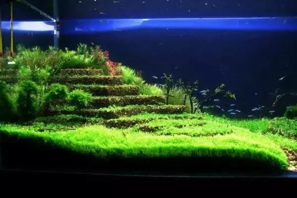 長春市二道區東北亞書城如沐水族館