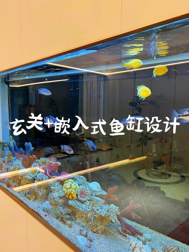 龍魚和關刀混養(yǎng)搭配圖