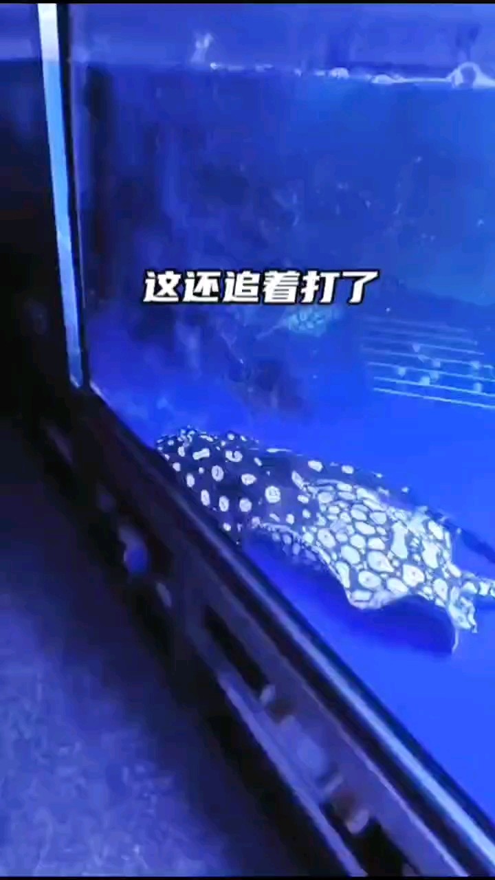 怎么能這樣欺負(fù)我
