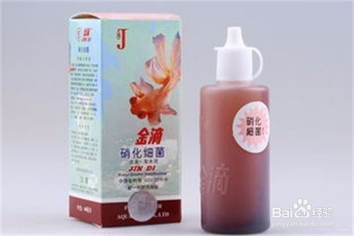 紅龍魚眼睛里有白色物體怎么回事啊圖片大全視頻（紅龍魚眼睛有白膜怎么辦）
