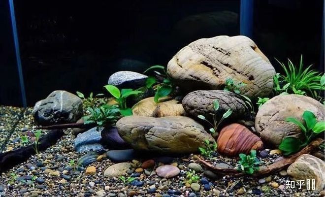 魚缸清洗電熱水器費用：杭州魚躍制氧機售后服務(wù)中心清洗電熱水器清洗費用