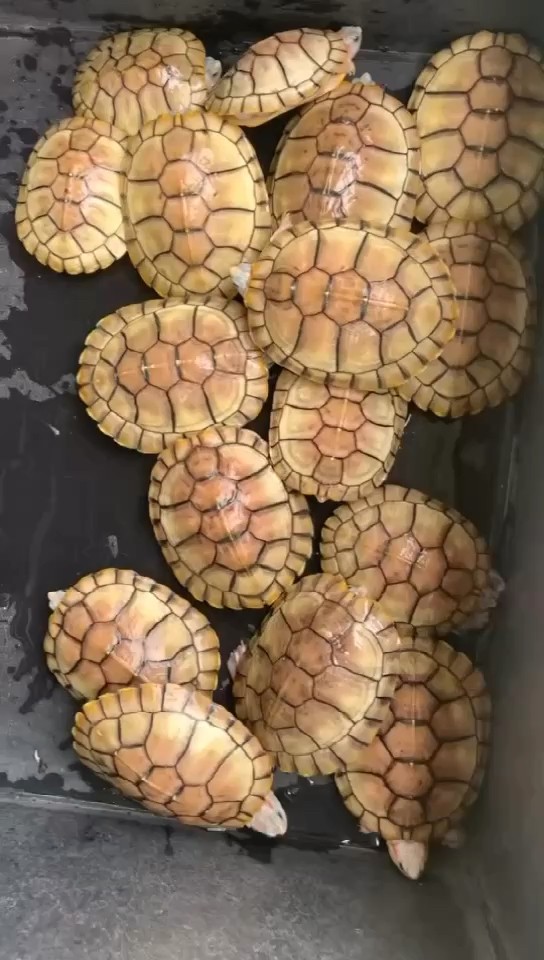 喜歡的點點關注哦