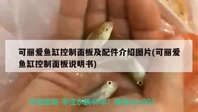 可麗愛魚缸led燈壞了：可麗愛魚缸led燈線路故障排查技巧,魚缸led燈維修注意事項