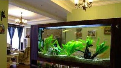 風水魚缸的最佳擺放位置取決于具體的室內布局和個人需求：家居風水魚缸的最佳擺放位置