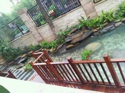 廣東最大的龍魚批發市場是哪里的：廣東最大的龍魚批發市場