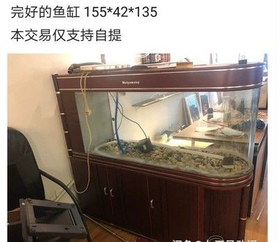 魚缸 出差：出差期間魚缸水質維護的詳細步驟，魚缸水質維護的詳細步驟