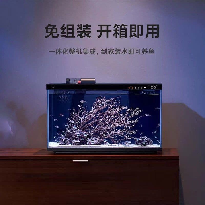 魚缸 出差：出差期間魚缸水質維護的詳細步驟，魚缸水質維護的詳細步驟