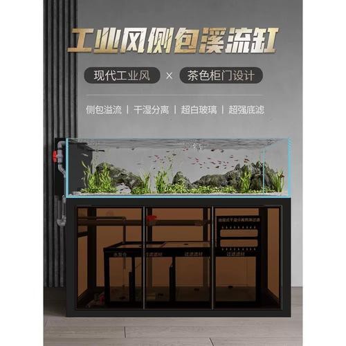 廣州批發觀賞魚