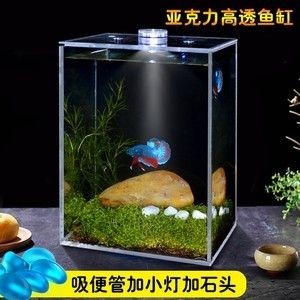 瘋狂石頭魚缸過濾器的工作原理是水族箱養護中的重要設備：瘋狂的石頭魚缸過濾器怎么選