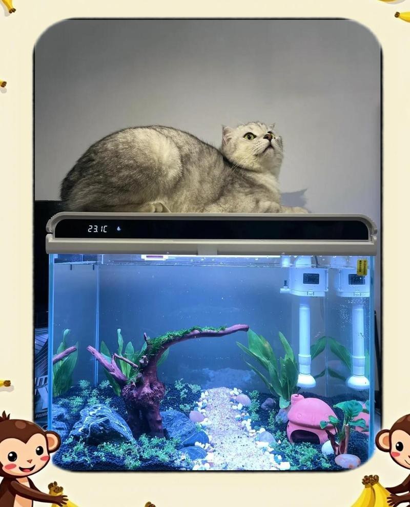 森森魚缸老款安裝方法詳解