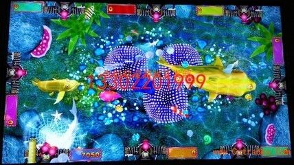 介紹金龍魚游戲的作文三年級：金龍魚游戲之金龍魚游戲