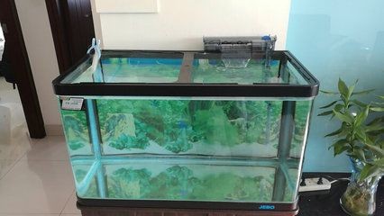 特魚氏魚缸安裝視頻：特魚氏魚缸安裝視頻的具體步驟 特魚氏魚缸安裝視頻：特魚氏魚缸安裝視頻的具體步驟 魚缸百科 第4張