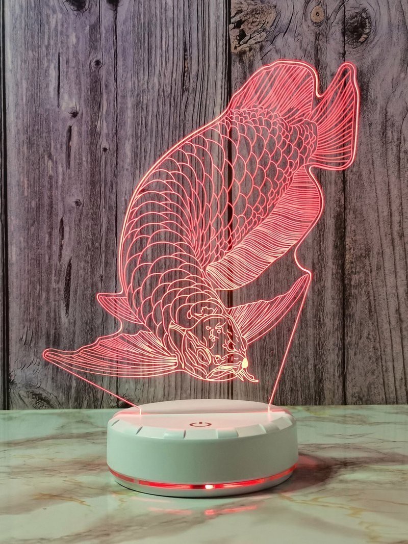 龍魚夜燈有必要嗎