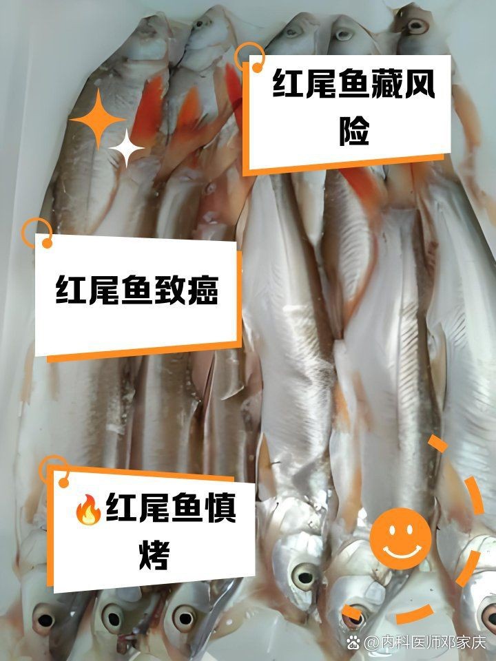 紅尾魚好處與壞處