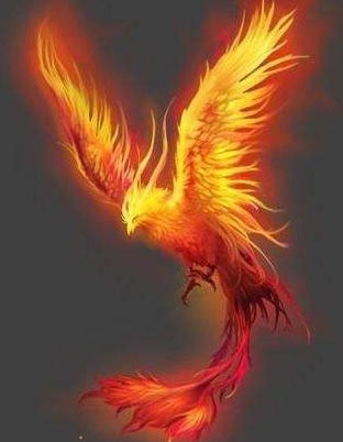 鳳凰是什么寓意