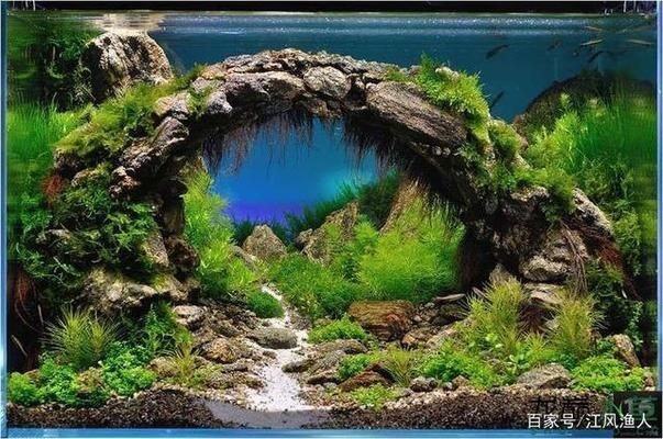 龍的頭像圖片大全