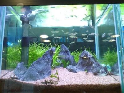 高錳酸鉀消毒原理：二氧化氯與高錳酸鉀對比二氧化氯與高錳酸鉀對比二氧化氯