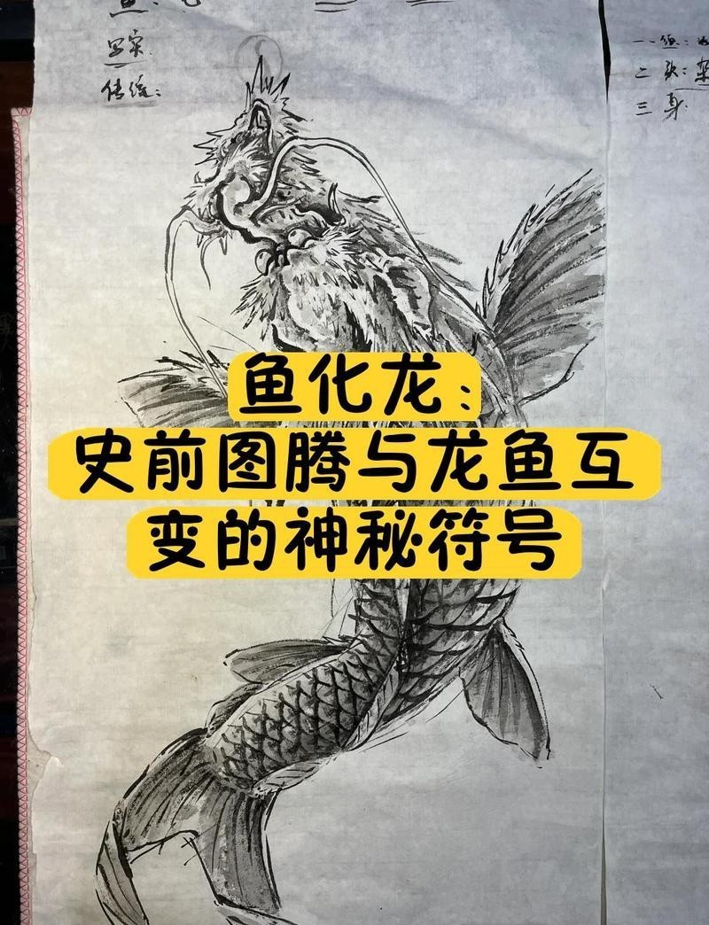 龍頭魚身有什么忌諱