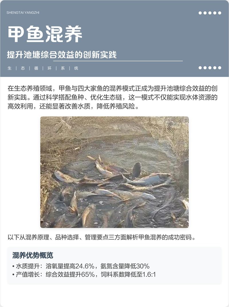 虎頭金魚多少錢一只 虎頭金魚多少錢一只 龍魚論壇