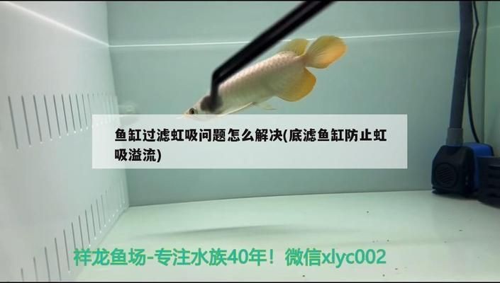 魚缸虹吸現象怎么處理：處理魚缸虹吸現象的方法