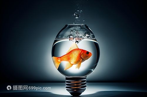 選擇魚缸燈的技巧：如何選擇合適的魚缸燈？