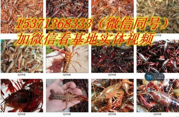 菏澤<strong><mark>定陶</mark></strong>魚缸<strong><mark>定陶</mark></strong>魚缸定做魚缸定做價格是多少錢：<strong><mark>定陶</mark></strong>區魚缸<strong><mark>定陶</mark></strong>魚缸定做魚缸定做價格是多少錢