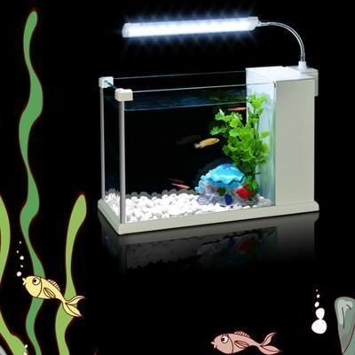 魚缸日夜照明時間表設置：魚缸日夜照明時間表