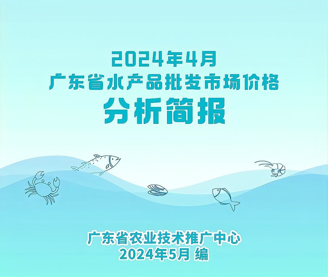 水鼻子魚價格對比