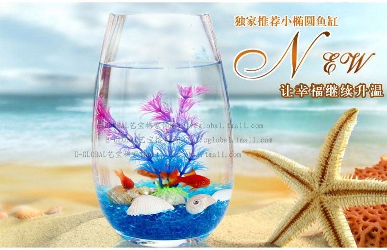 魚缸藝術的演變：關于魚缸的一些優美句子