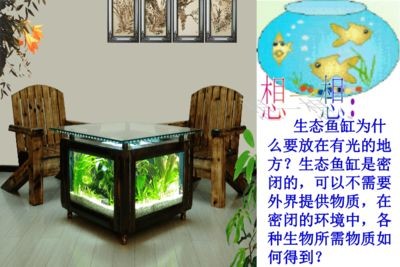 魚缸藝術的演變：關于魚缸的一些優美句子