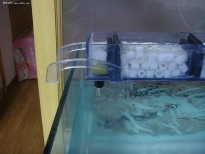 魚缸水泵安裝教程：魚缸水泵安裝方法