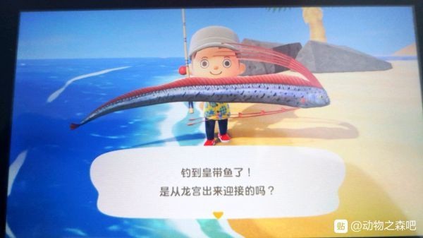 動(dòng)森高價(jià)收購物品表