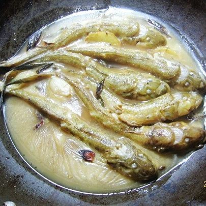 狗魚最佳吃法