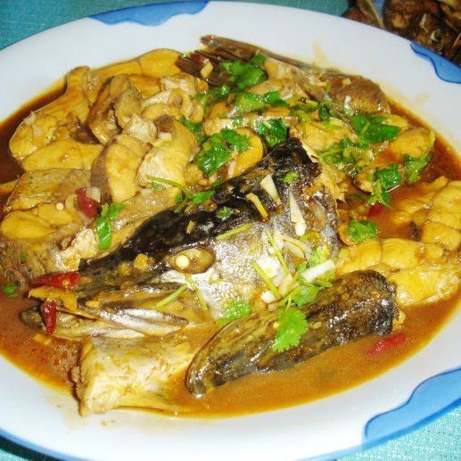 狗魚最佳吃法