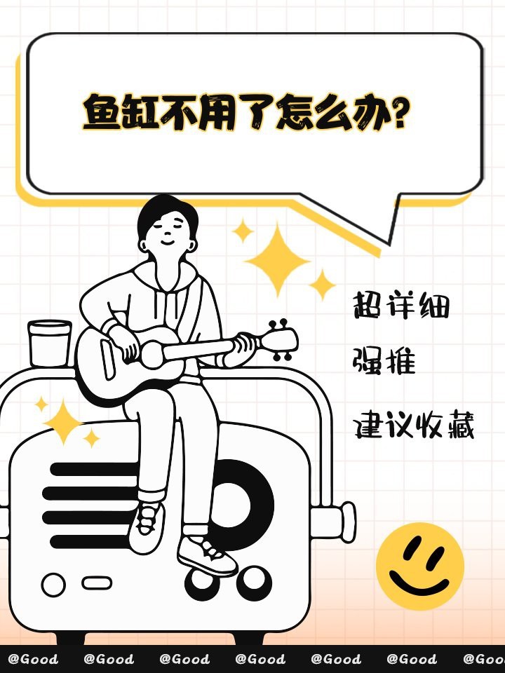 龍魚缸不養魚最簡單處理