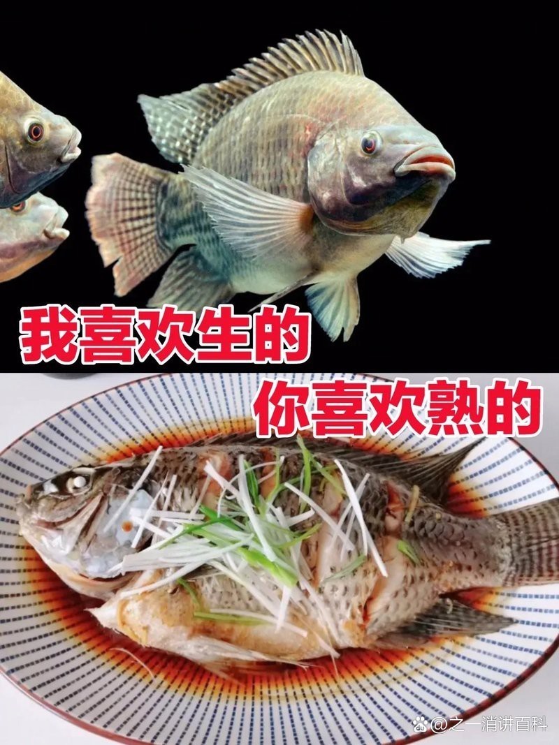 福壽魚名字的由來