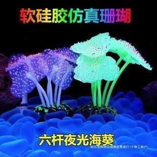 魚(yú)缸珊瑚造景要多少錢(qián)：不同種類和價(jià)格的魚(yú)缸珊瑚造景供你參考