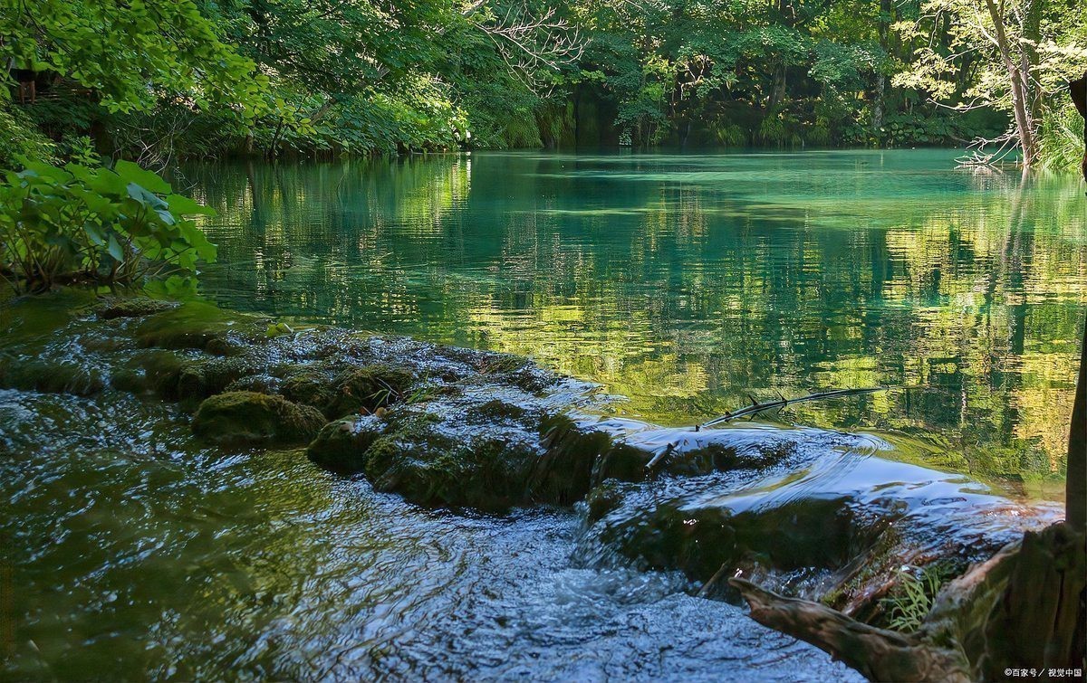 龍形水系風水