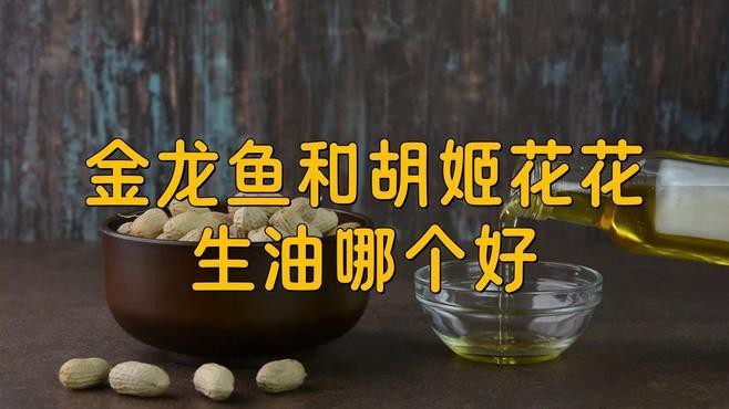 胡姬花還是金龍魚的好