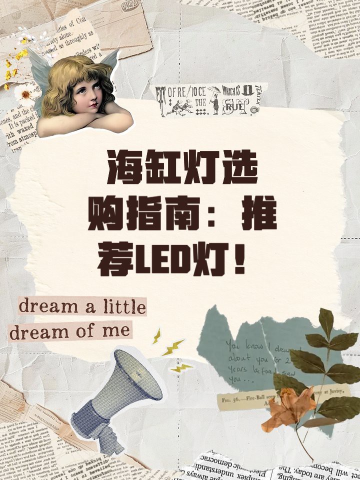燈LED魚缸是雜牌子嗎 燈LED魚缸是雜牌子嗎 龍魚論壇 第1張