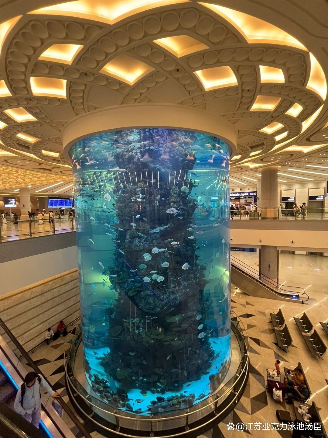 定做大型亞克力魚缸