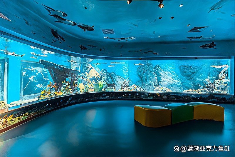 定做大型亞克力魚缸