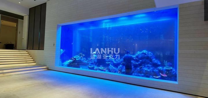 定做大型亞克力魚缸