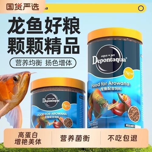 銀龍魚吃什么飼料長得最快