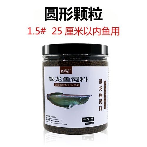 銀龍魚吃什么飼料長得最快