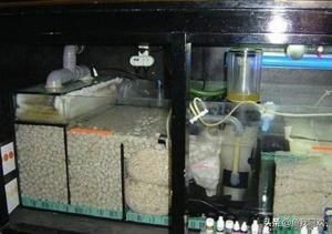魚缸水不干凈,要怎么過濾呀？（魚缸水不干凈怎么辦）